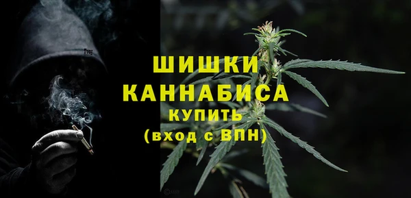 ГАЛЛЮЦИНОГЕННЫЕ ГРИБЫ Балабаново
