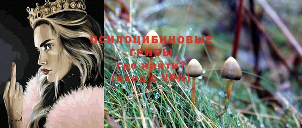 ALPHA PVP Арсеньев