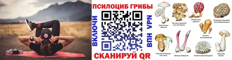 купить наркотики сайты  Кремёнки  Галлюциногенные грибы MAGIC MUSHROOMS 